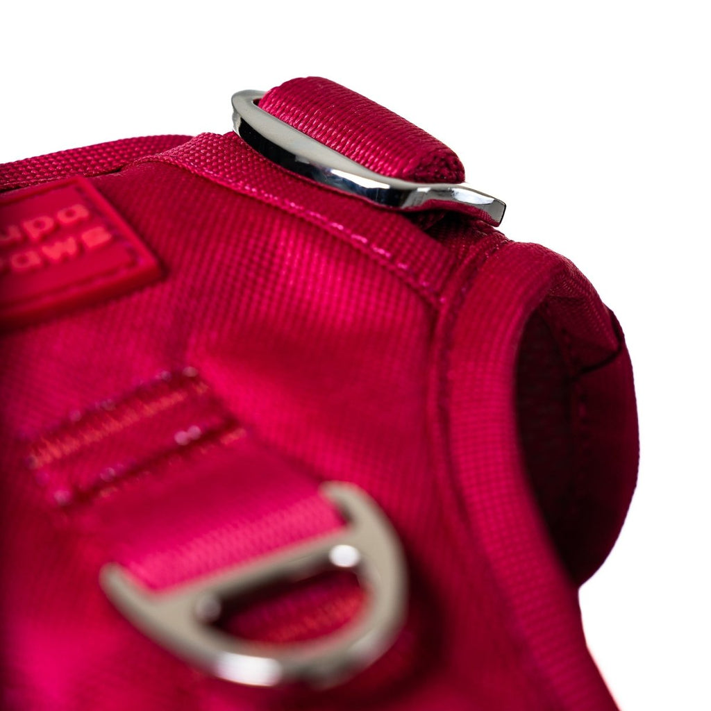 Crimson Glory Harness