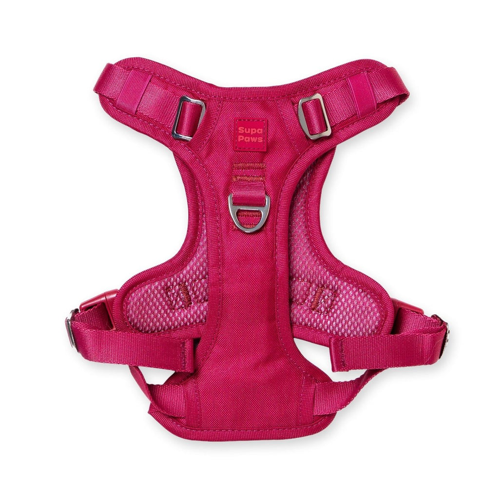 Crimson Glory Harness