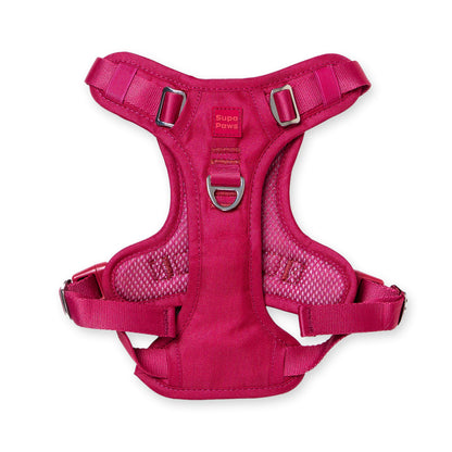 Crimson Glory Harness