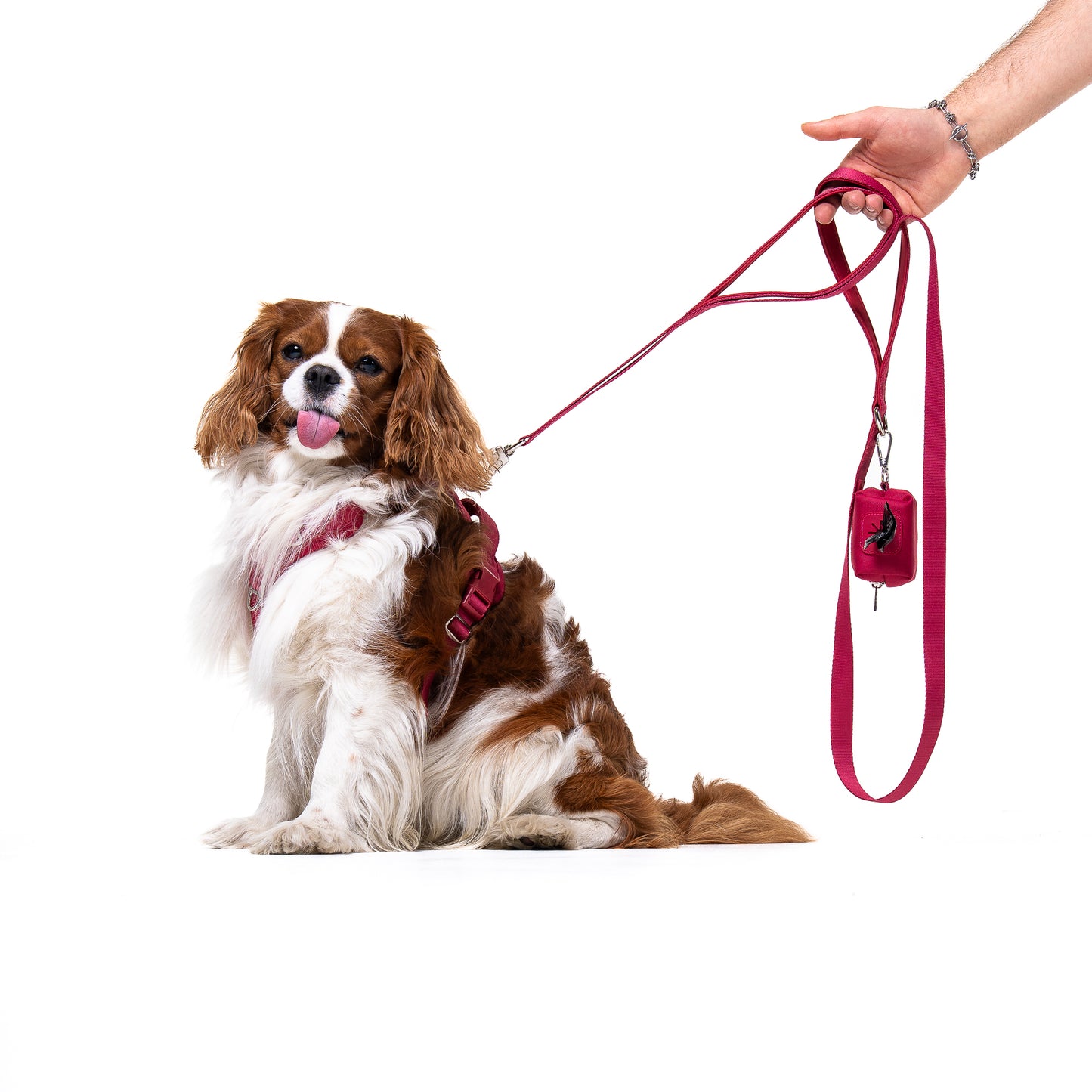 Crimson Glory Harness