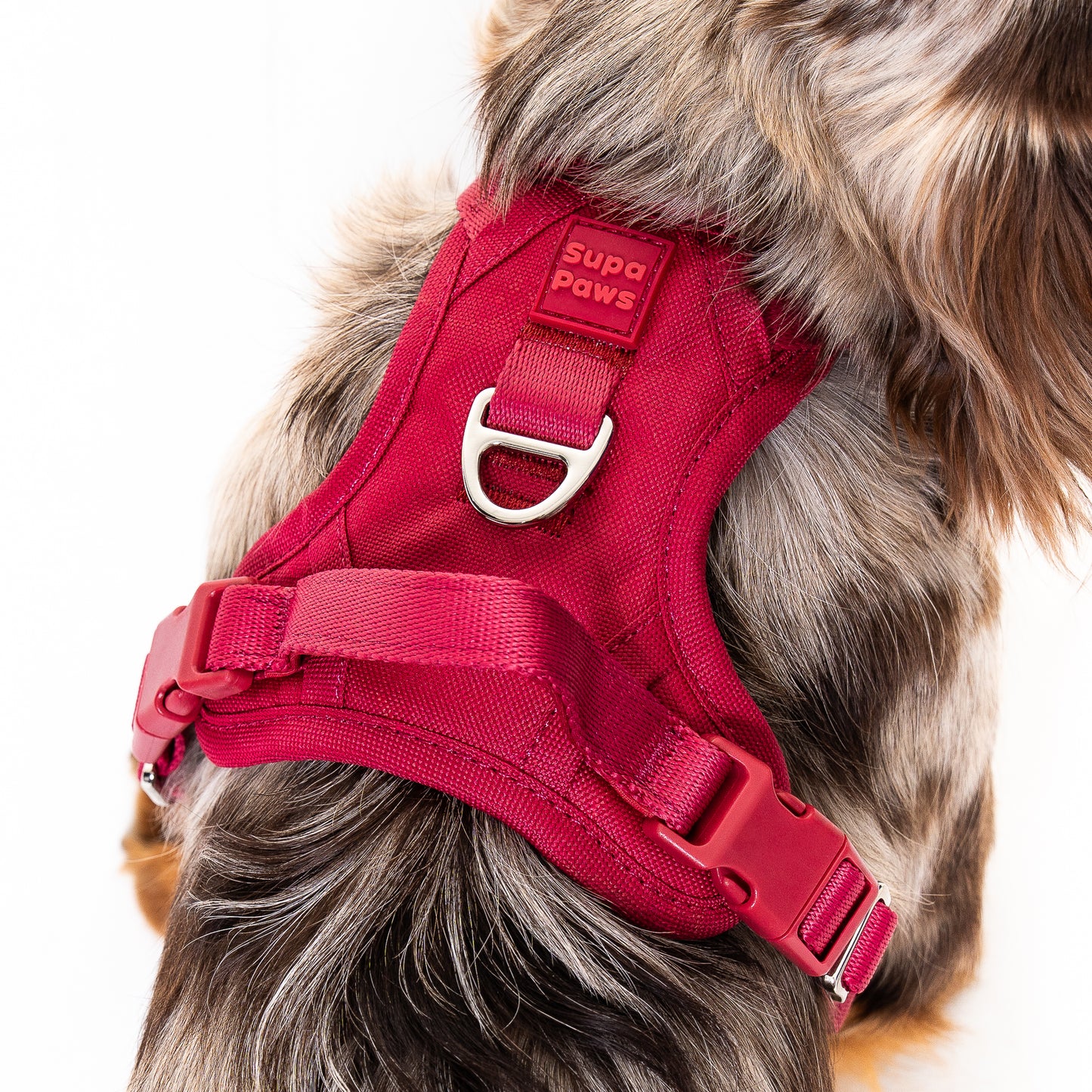 Crimson Glory Harness