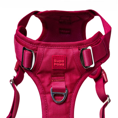 Crimson Glory Harness