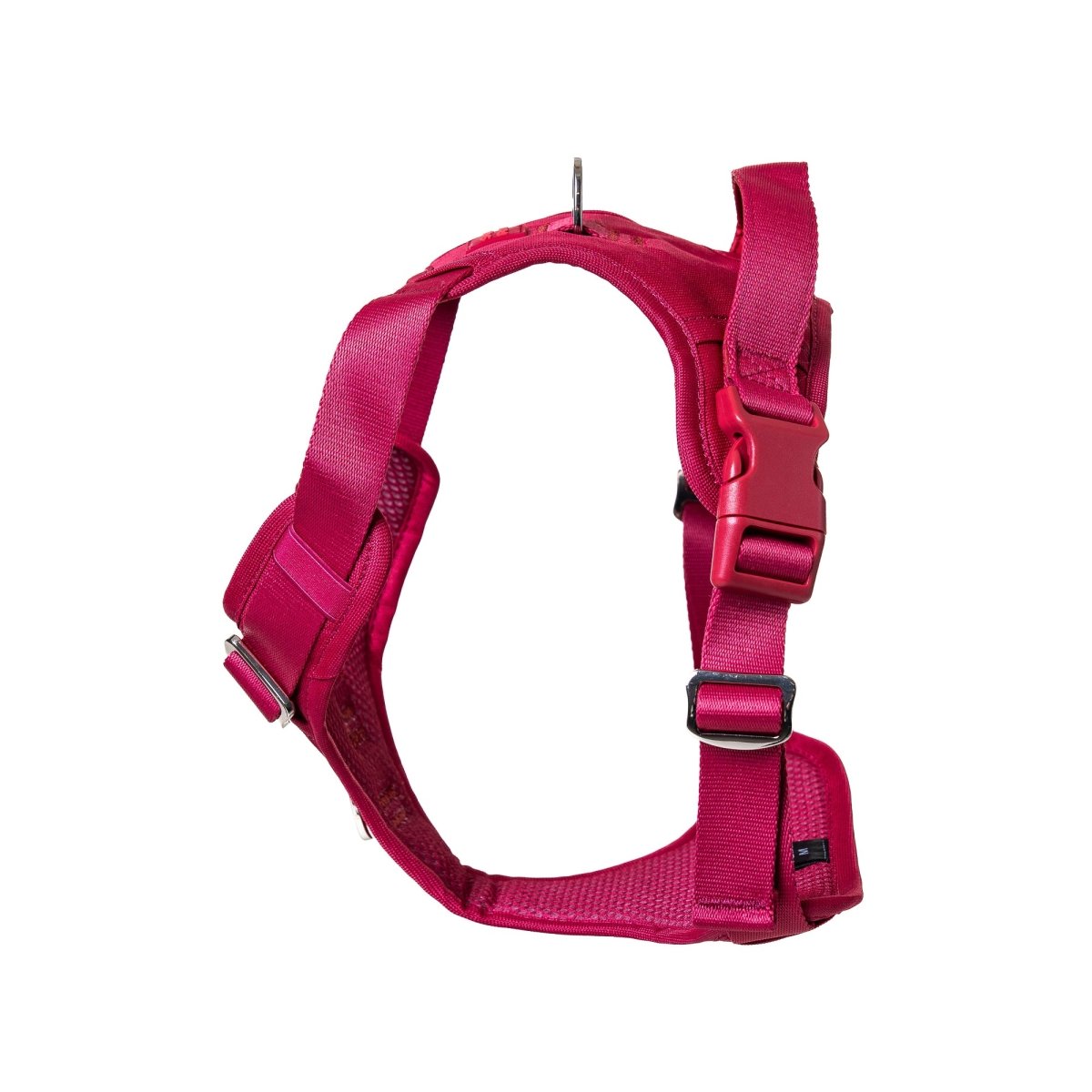 Crimson Glory Harness