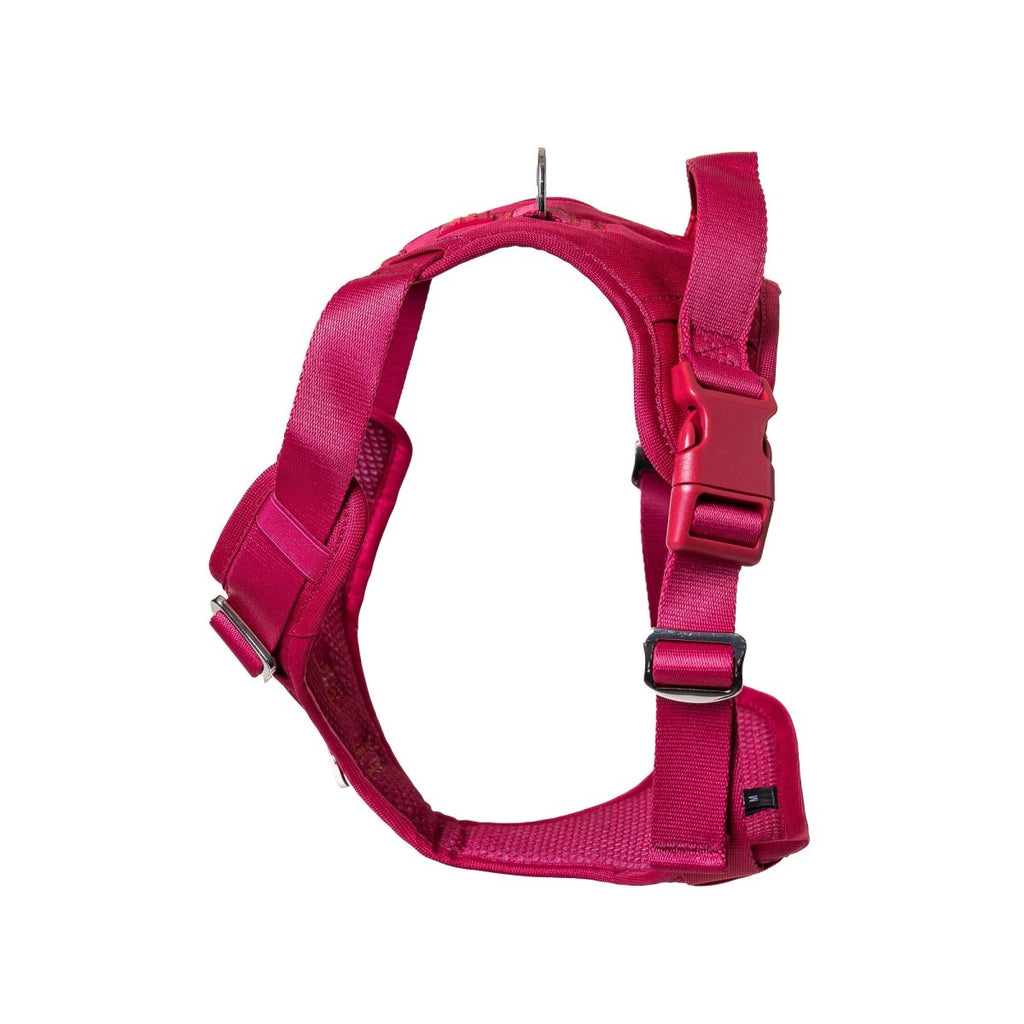 Crimson Glory Harness