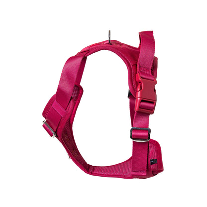 Crimson Glory Harness