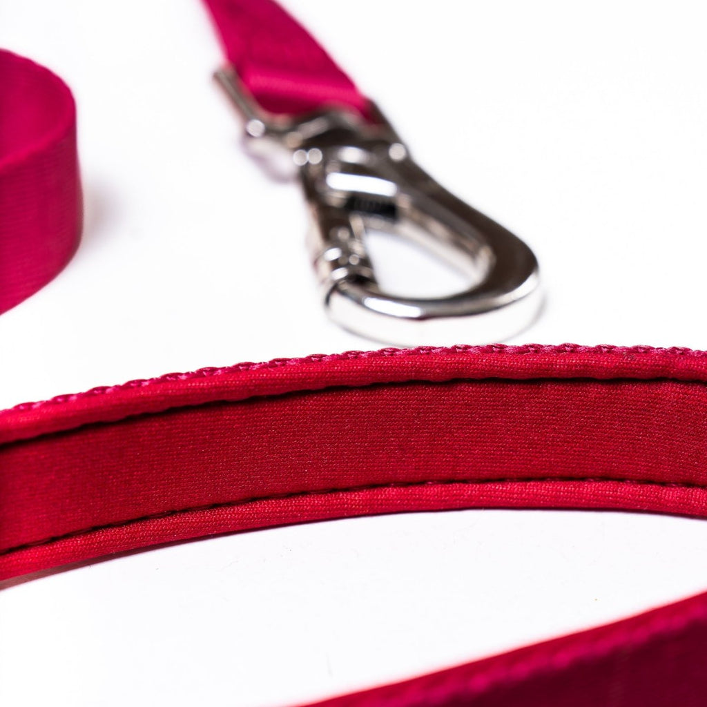 Crimson Glory Leash