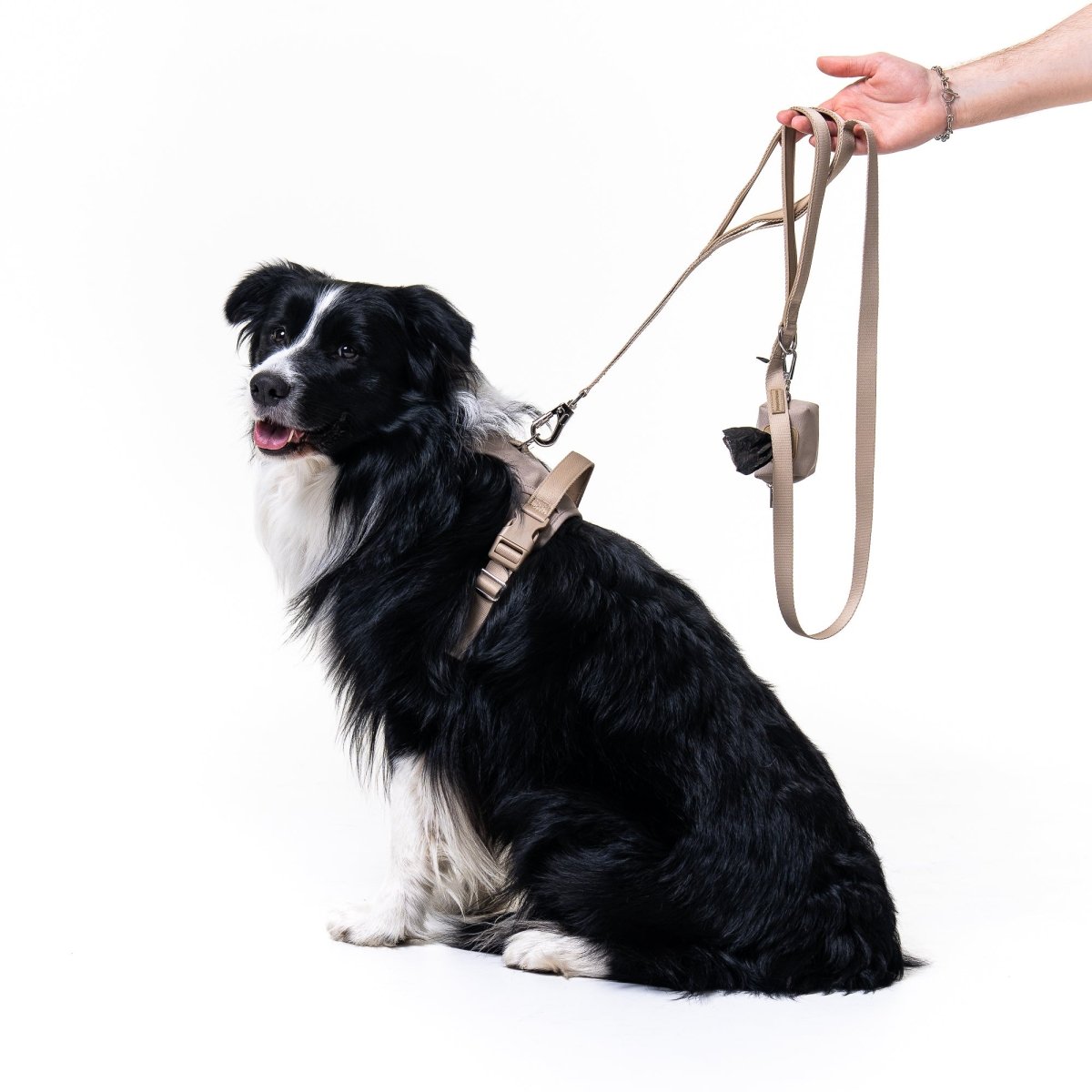 Latte Harness