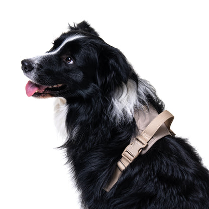Latte Harness