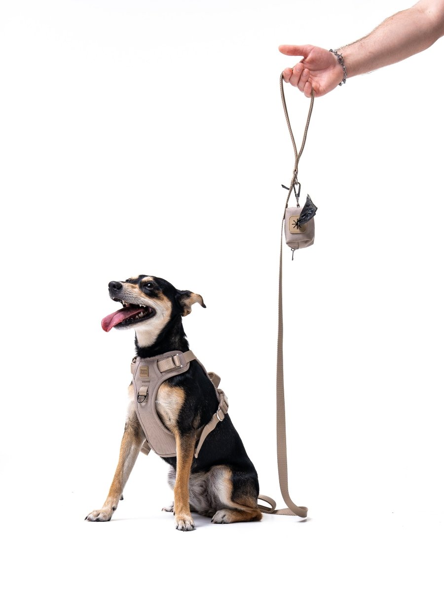 Latte Harness