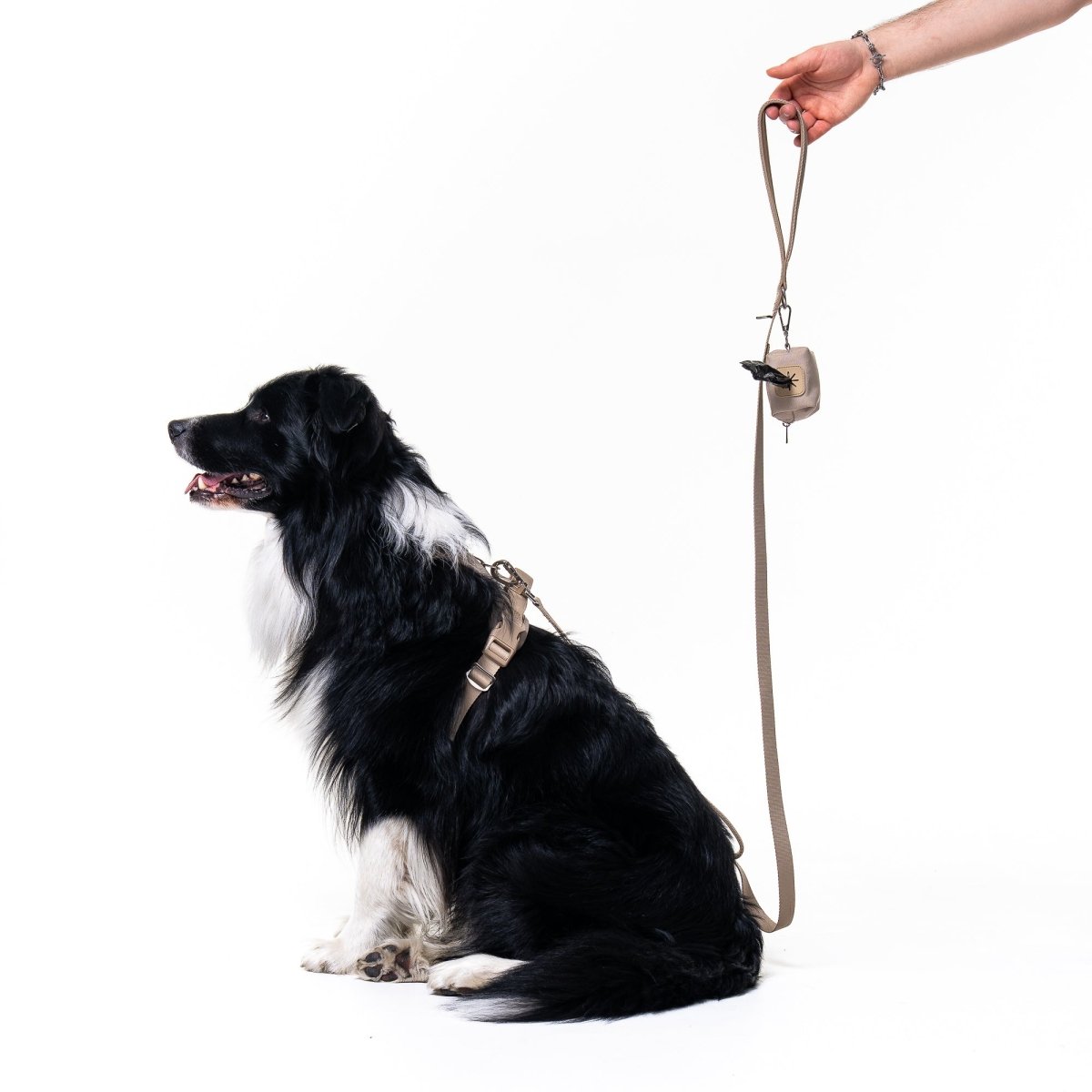 Latte Leash