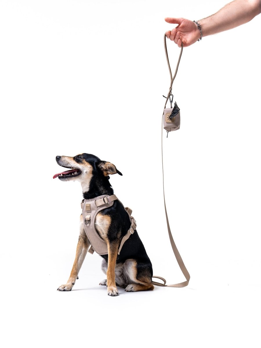 Latte Leash