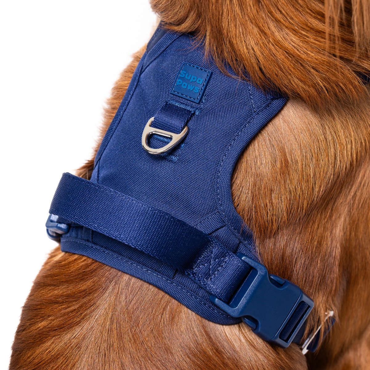 Midnight Blue Harness