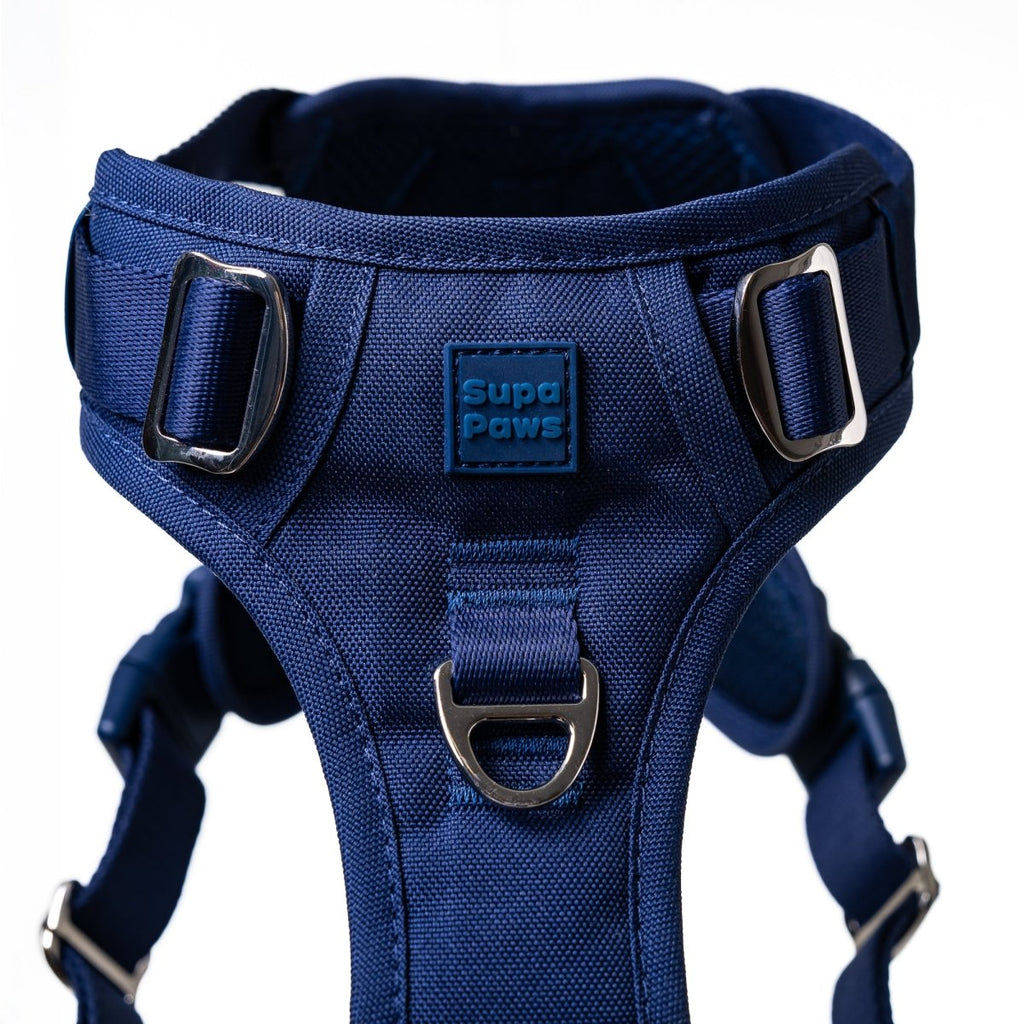 Midnight Blue Harness