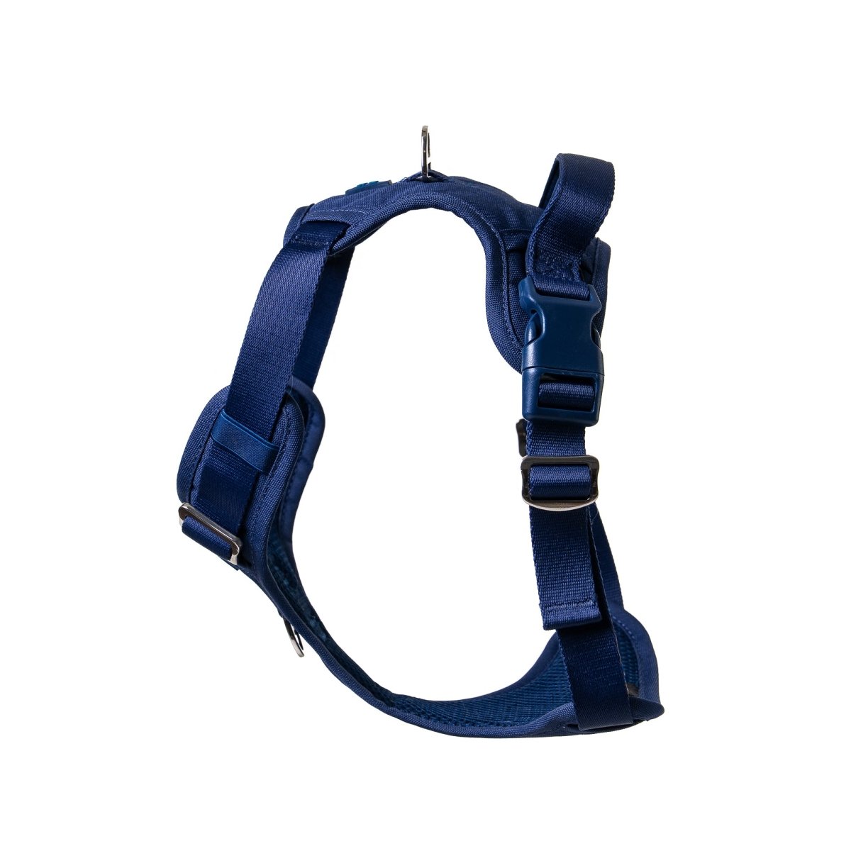 Midnight Blue Harness