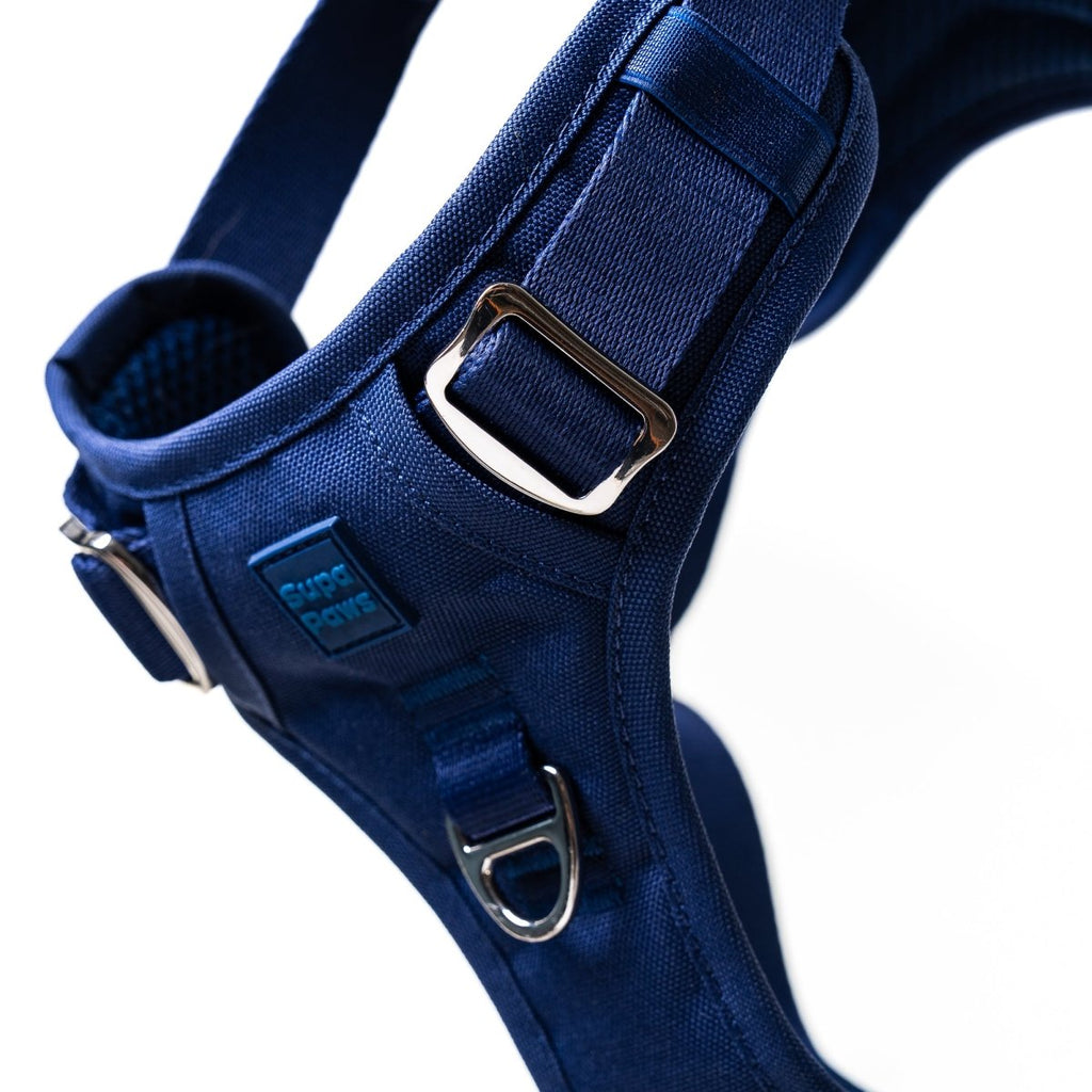 Midnight Blue Harness