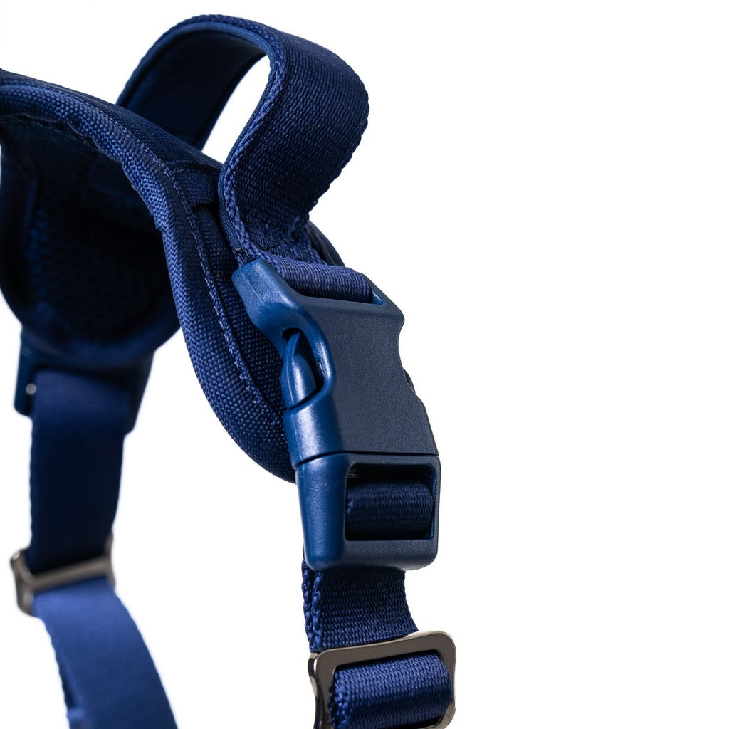 Midnight Blue Harness